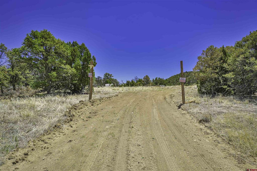 Tbd Rikki Rowdy Place Property Photo 8