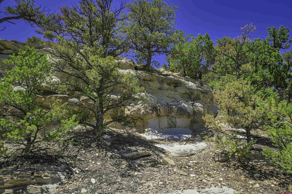 Tbd Rikki Rowdy Place Property Photo 9