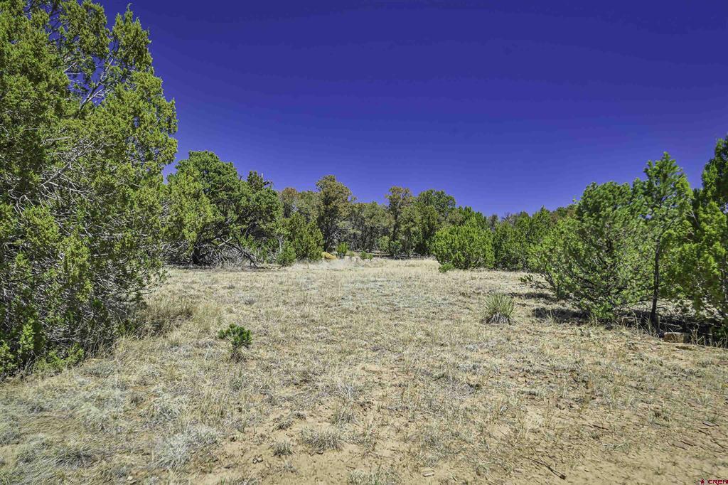 Tbd Rikki Rowdy Place Property Photo 10