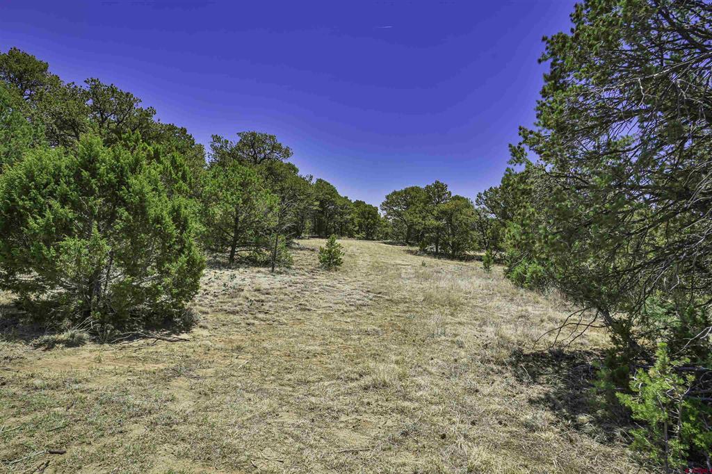 Tbd Rikki Rowdy Place Property Photo 11