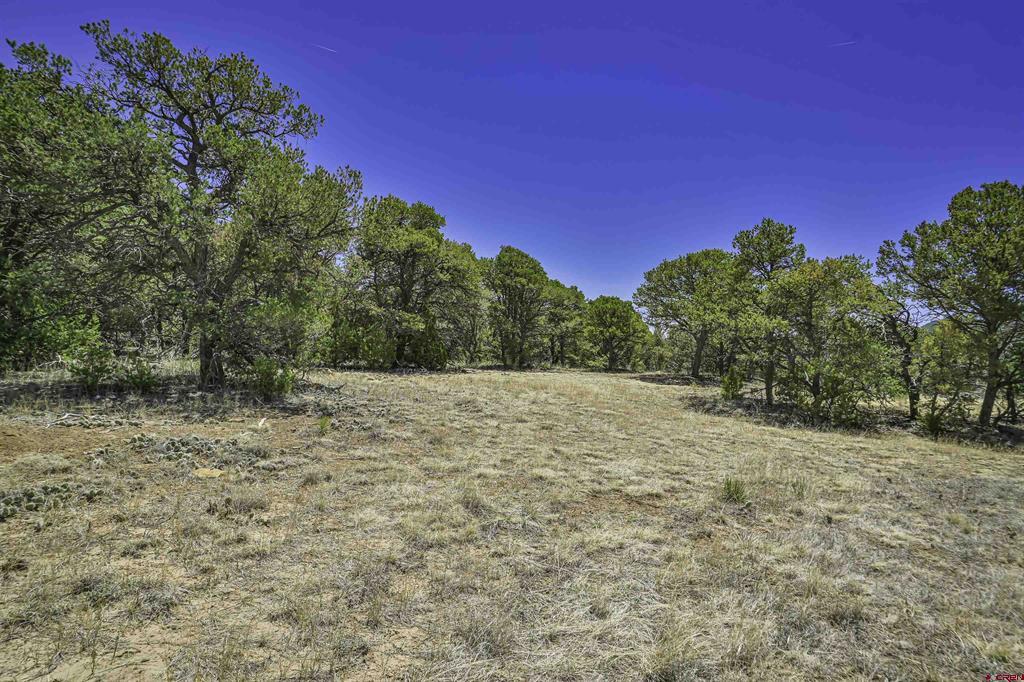 Tbd Rikki Rowdy Place Property Photo 12