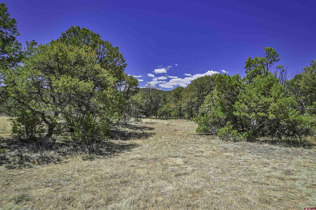 Tbd Rikki Rowdy Place Property Photo 13