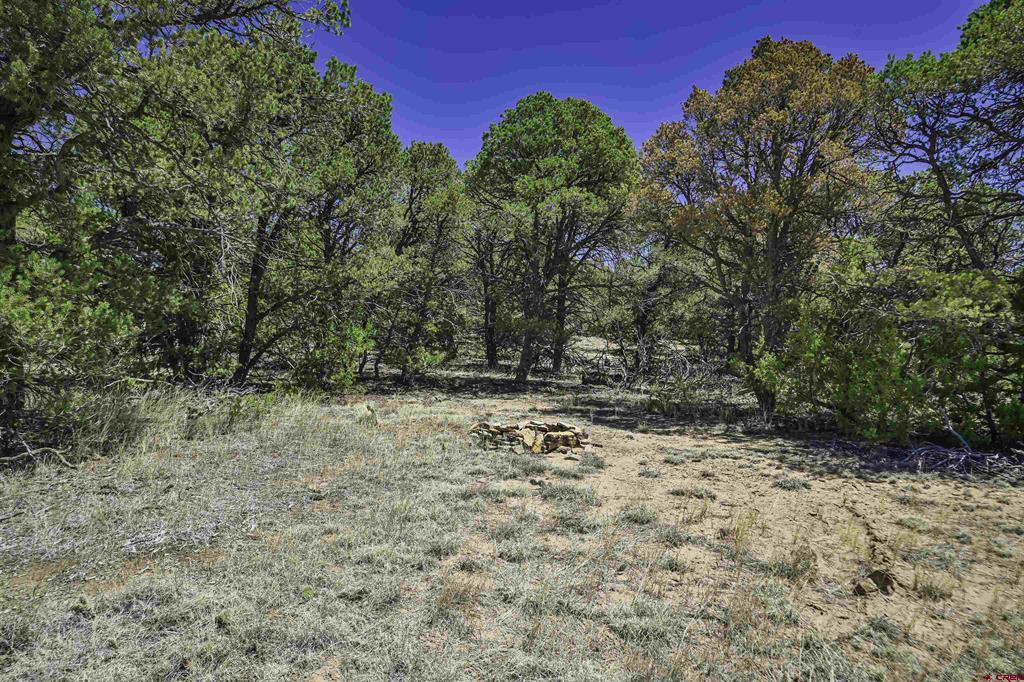 Tbd Rikki Rowdy Place Property Photo 14