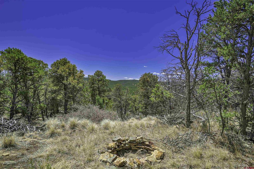 Tbd Rikki Rowdy Place Property Photo 15