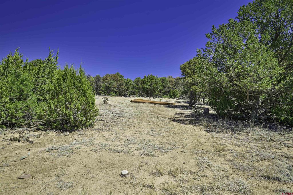 Tbd Rikki Rowdy Place Property Photo 17