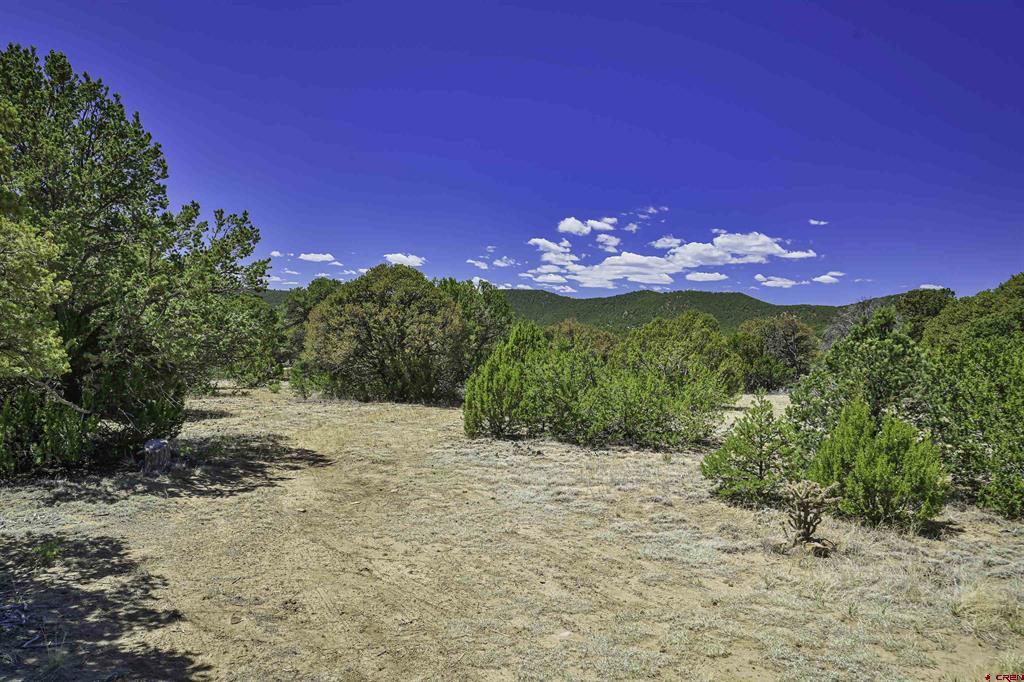 Tbd Rikki Rowdy Place Property Photo 18