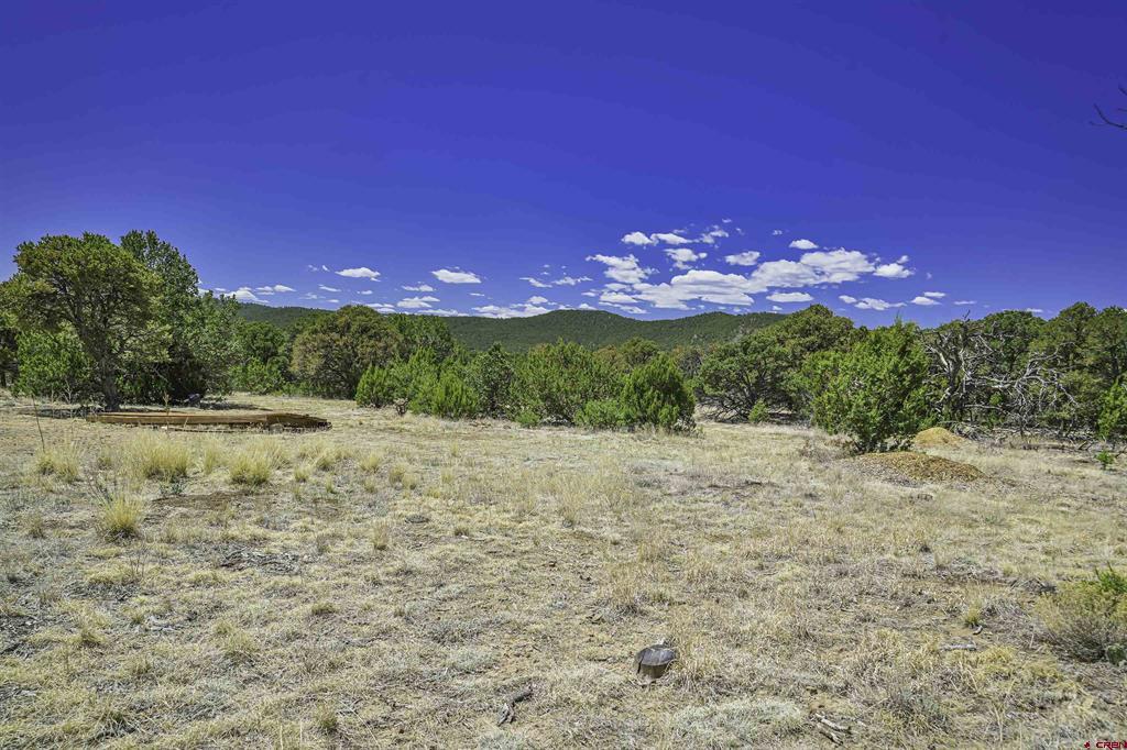 Tbd Rikki Rowdy Place Property Photo 19