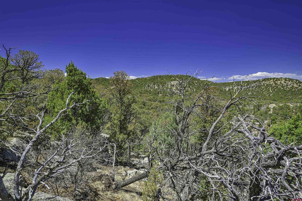 Tbd Rikki Rowdy Place Property Photo 20