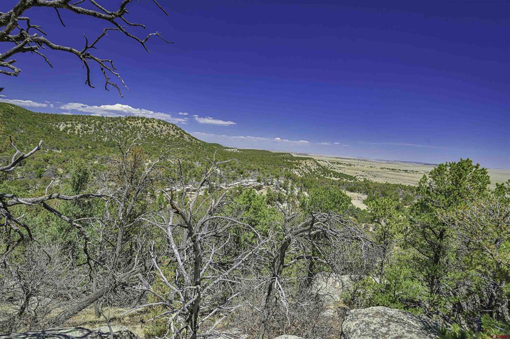 Tbd Rikki Rowdy Place Property Photo 21