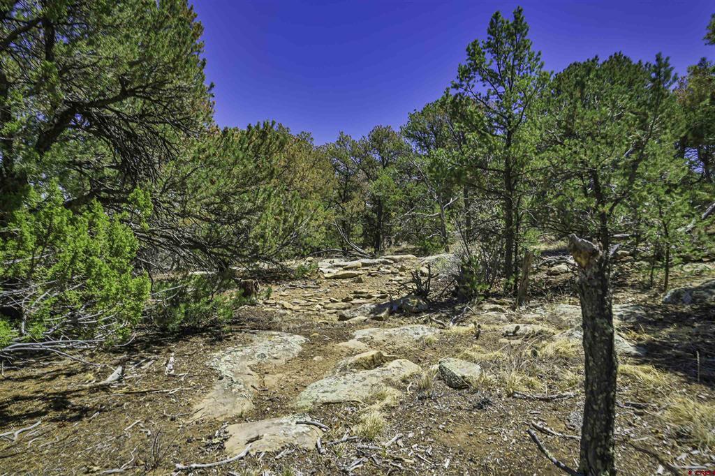 Tbd Rikki Rowdy Place Property Photo 22