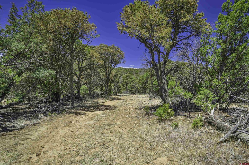 Tbd Rikki Rowdy Place Property Photo 23