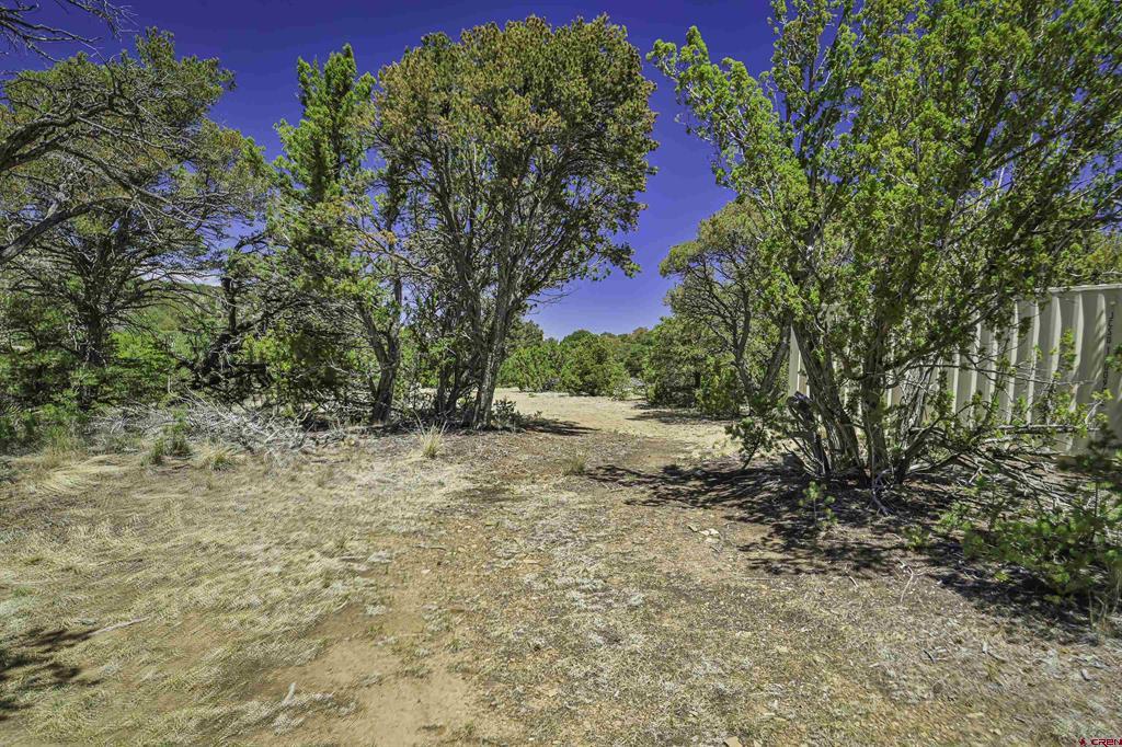 Tbd Rikki Rowdy Place Property Photo 24