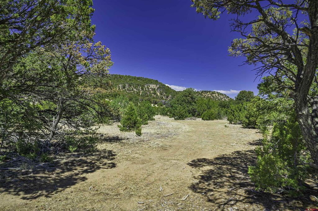 Tbd Rikki Rowdy Place Property Photo 25