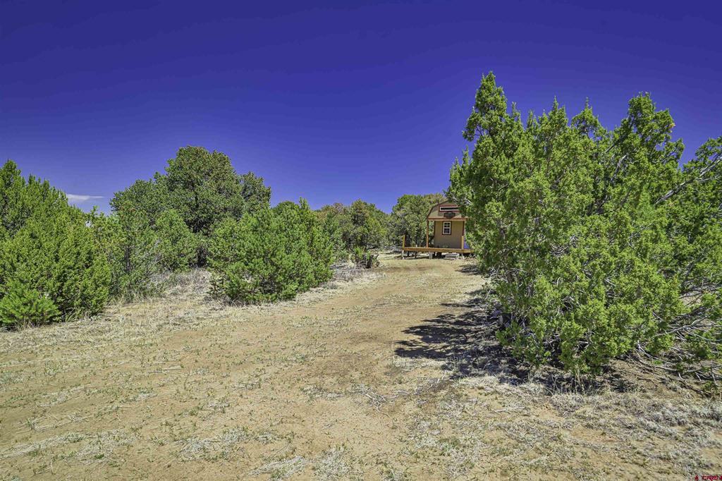 Tbd Rikki Rowdy Place Property Photo 26