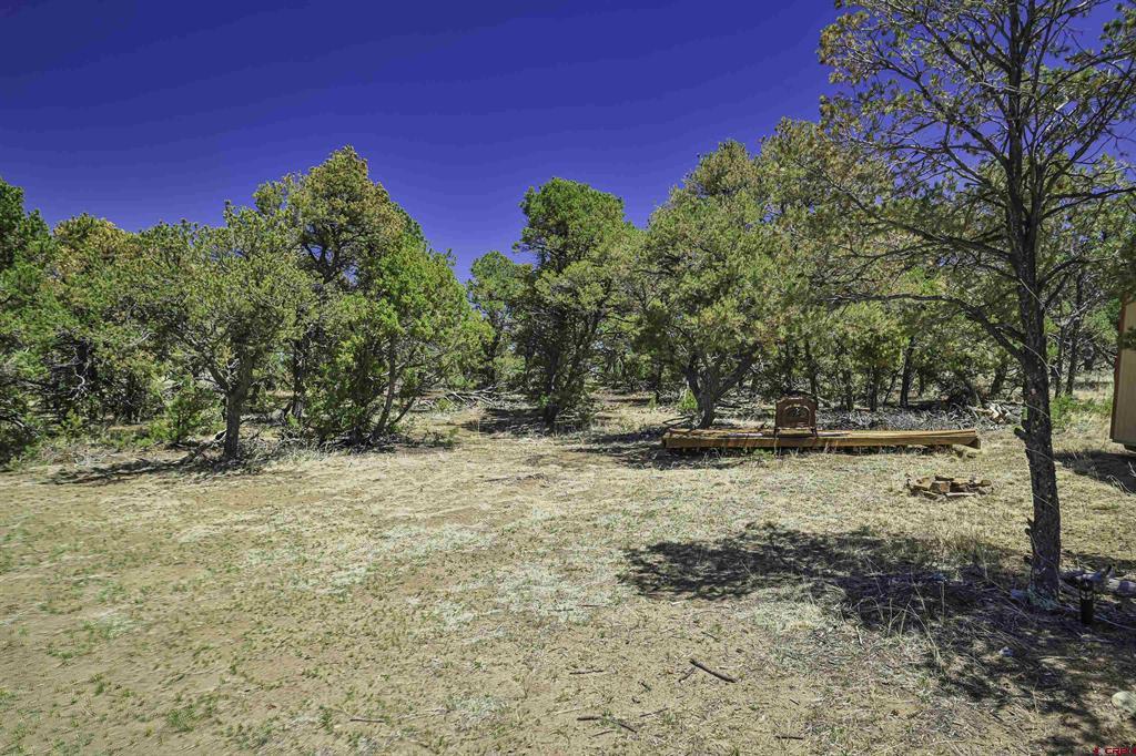 Tbd Rikki Rowdy Place Property Photo 27