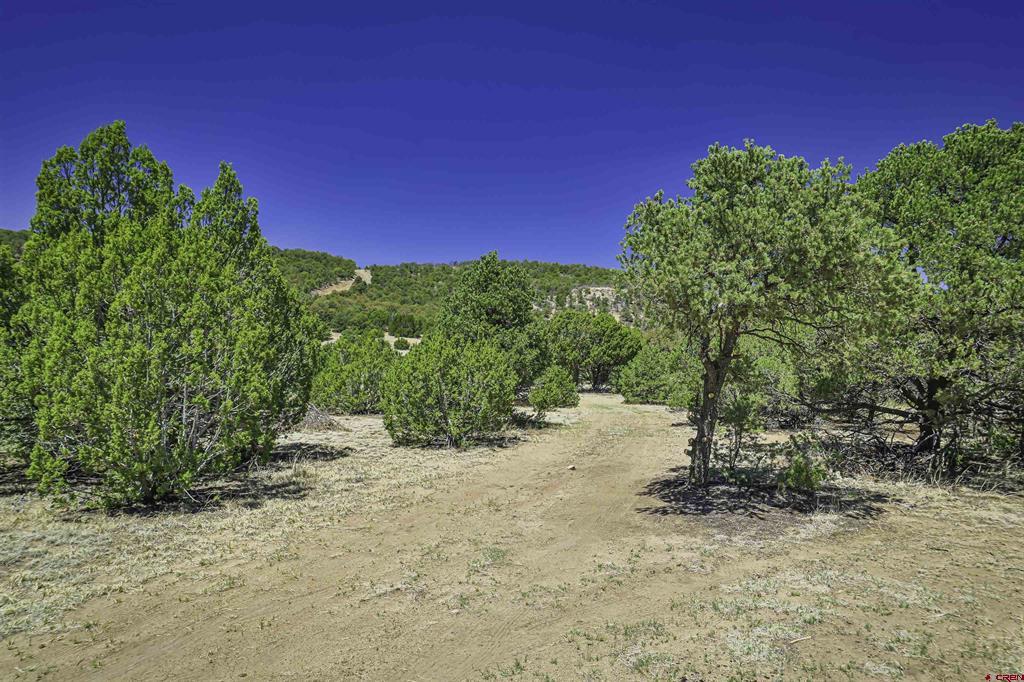 Tbd Rikki Rowdy Place Property Photo 28