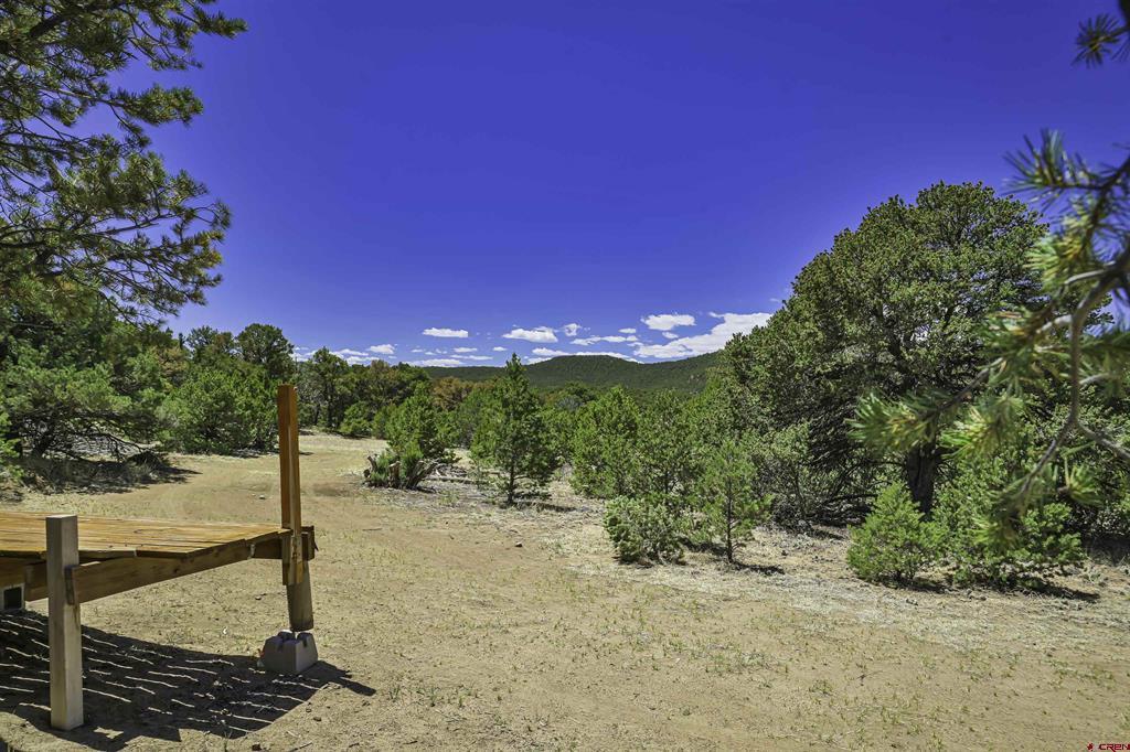 Tbd Rikki Rowdy Place Property Photo 29