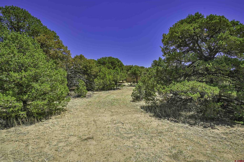 Tbd Rikki Rowdy Place Property Photo 30