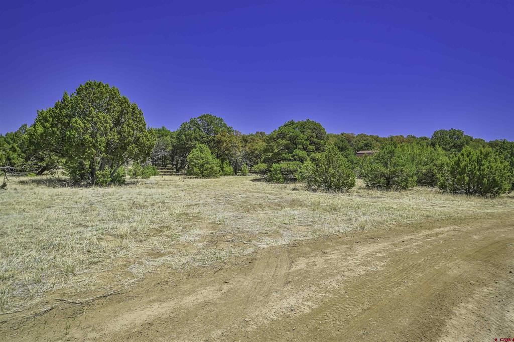 Tbd Rikki Rowdy Place Property Photo 31