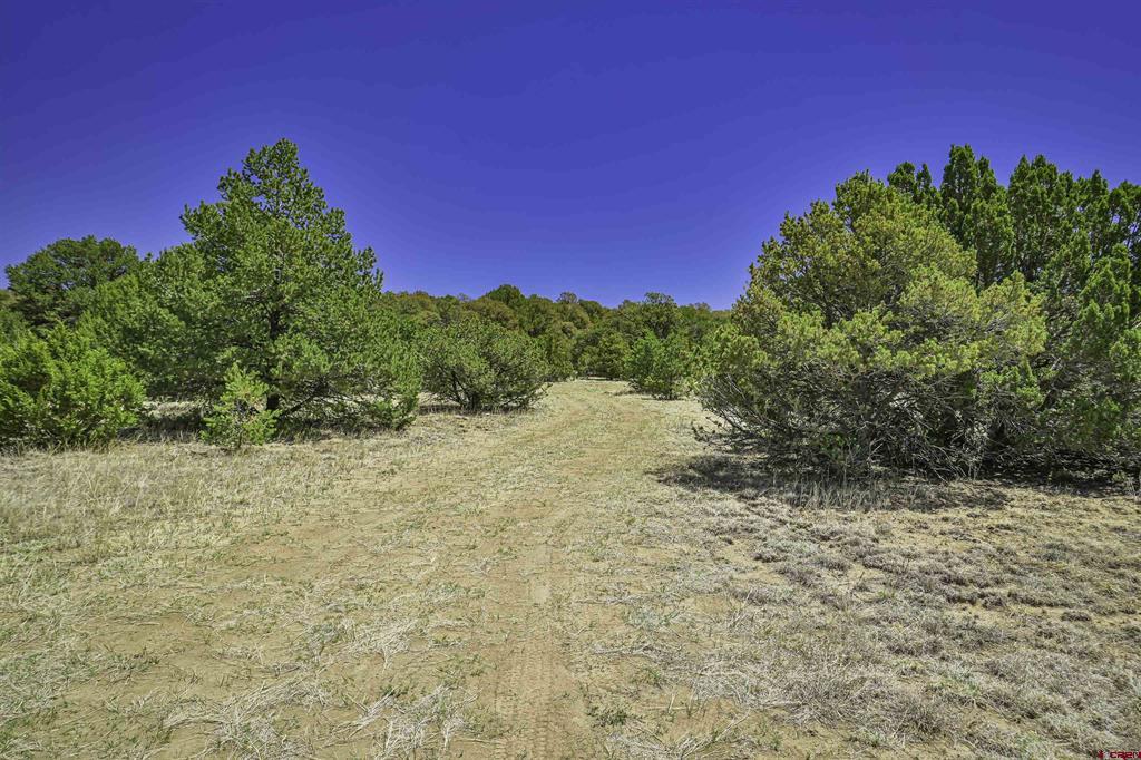 Tbd Rikki Rowdy Place Property Photo 32