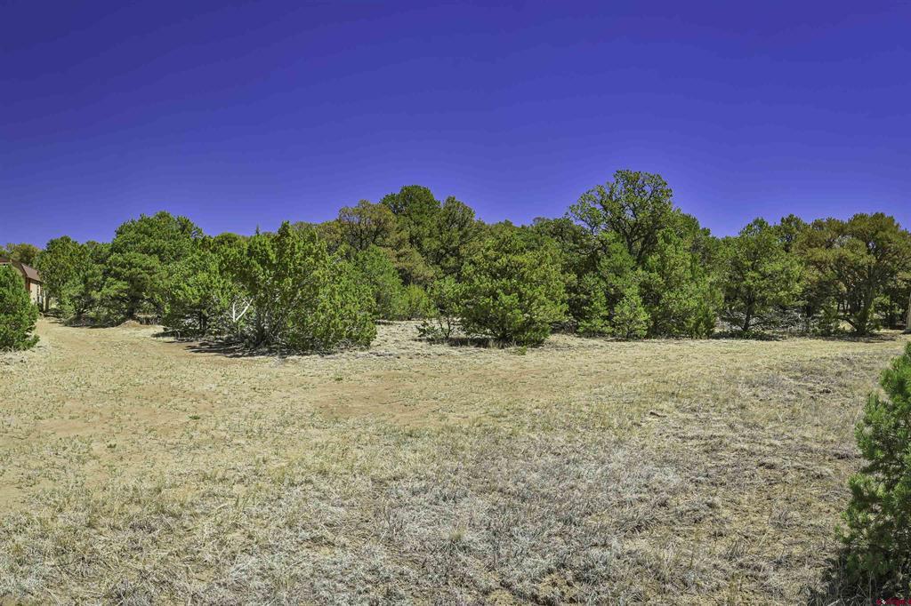 Tbd Rikki Rowdy Place Property Photo 33