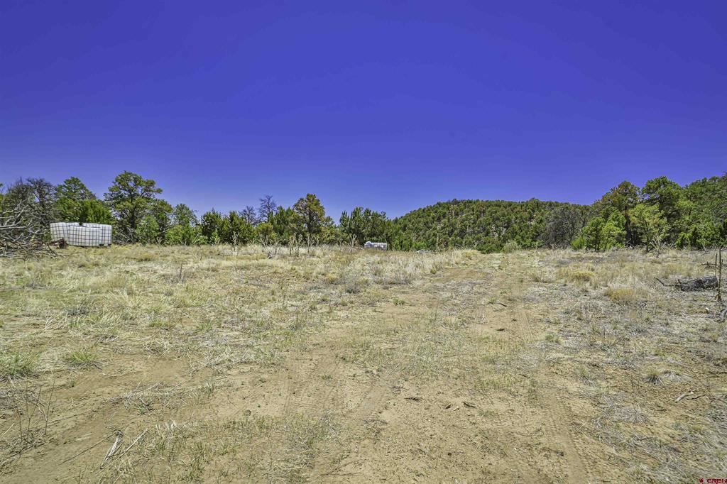 Tbd Rikki Rowdy Place Property Photo 34