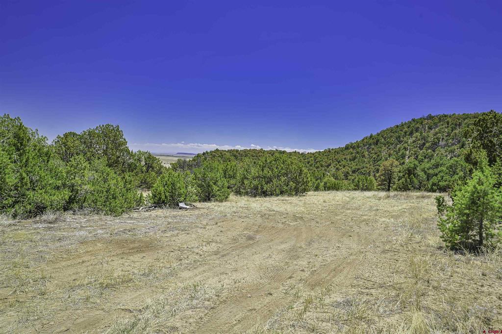 Tbd Rikki Rowdy Place Property Photo 35