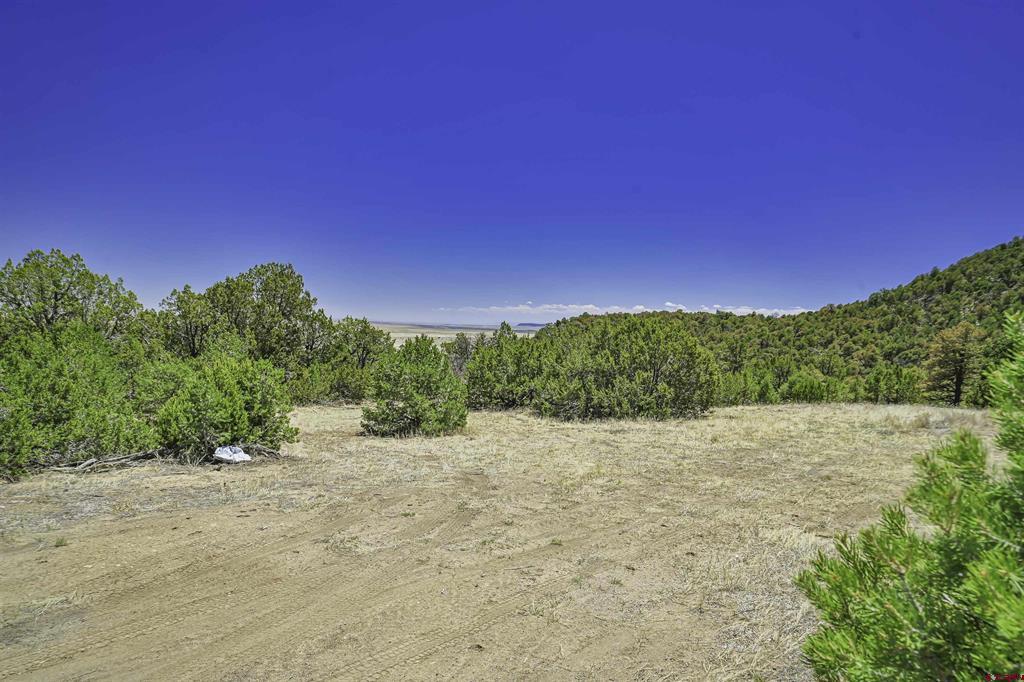 Tbd Rikki Rowdy Place Property Photo 36