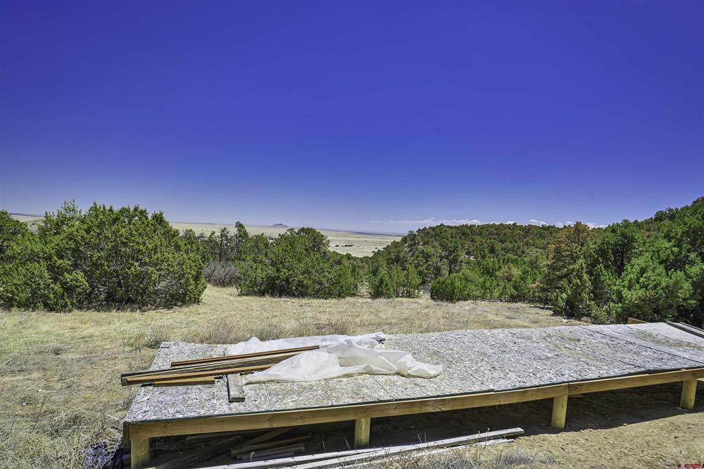 Tbd Rikki Rowdy Place Property Photo 37