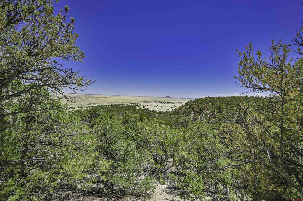 Tbd Rikki Rowdy Place Property Photo 39