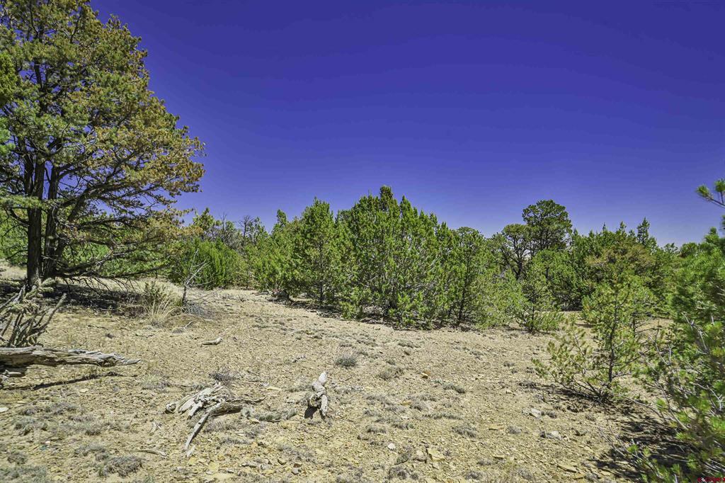 Tbd Rikki Rowdy Place Property Photo 40