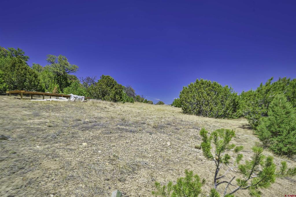 Tbd Rikki Rowdy Place Property Photo 41