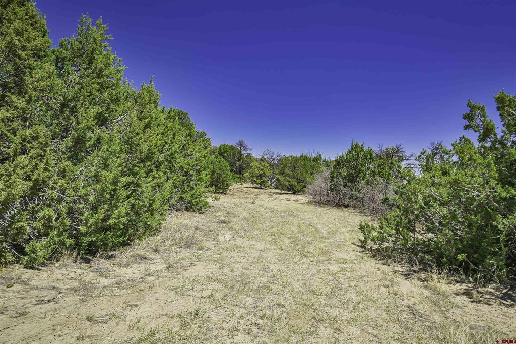 Tbd Rikki Rowdy Place Property Photo 42