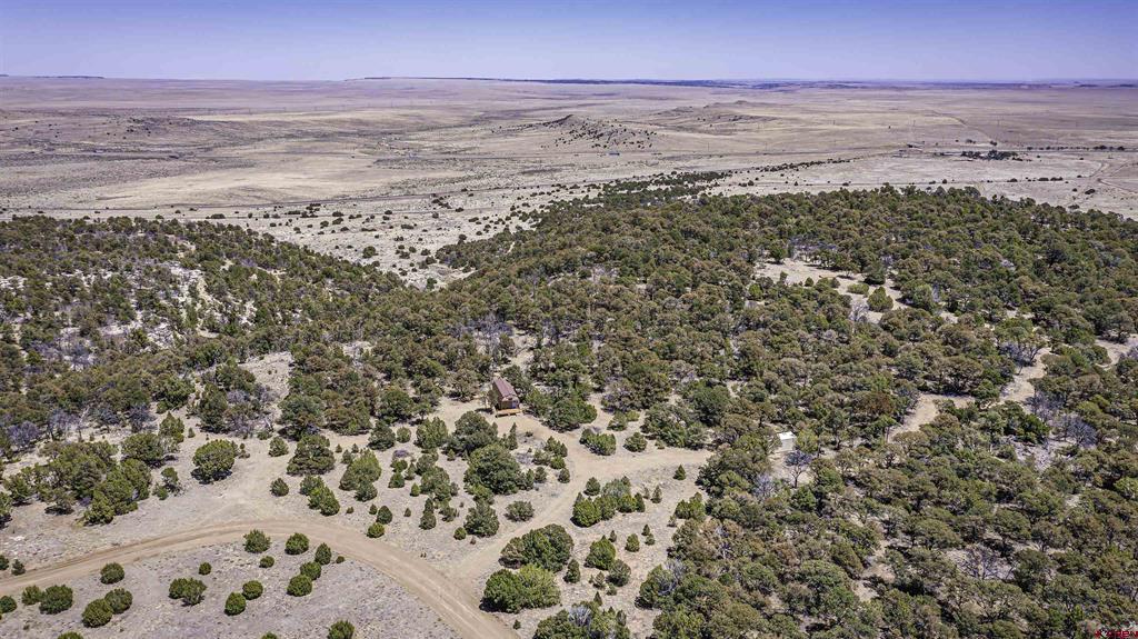 Tbd Rikki Rowdy Place Property Photo 44