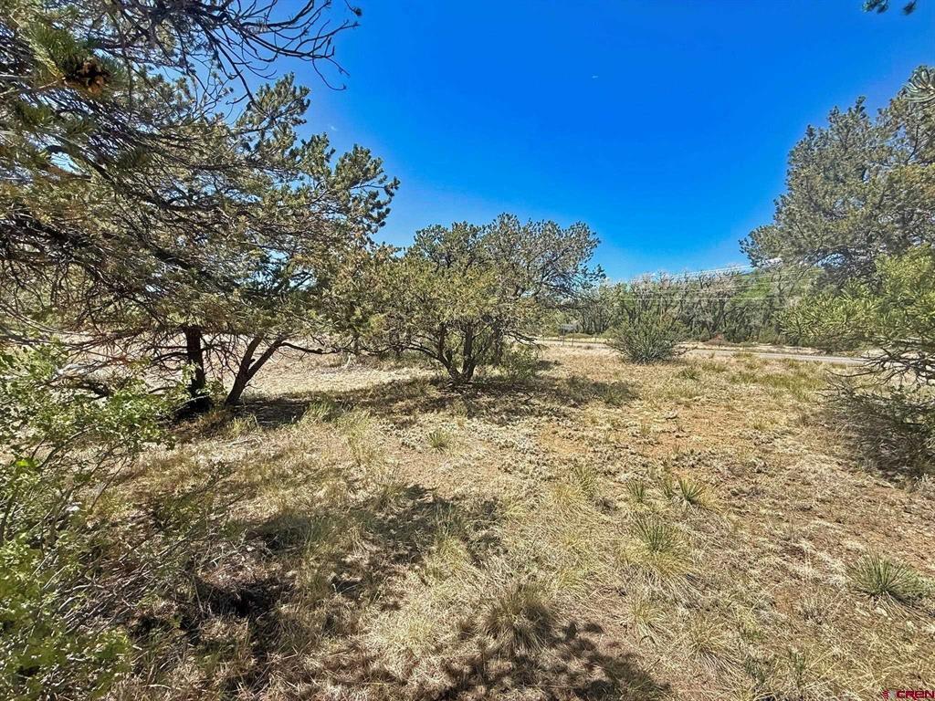 0 Kiowa Trail Property Photo 4