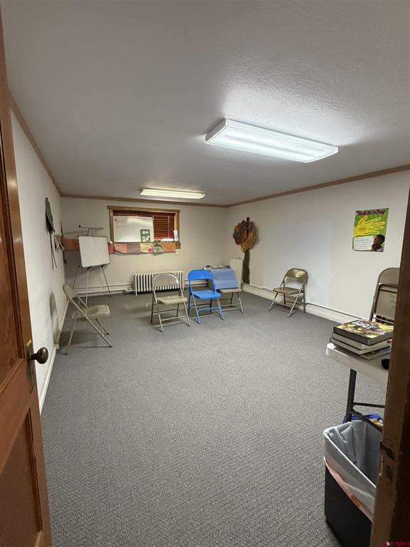 800 Palmer Street Property Photo 18