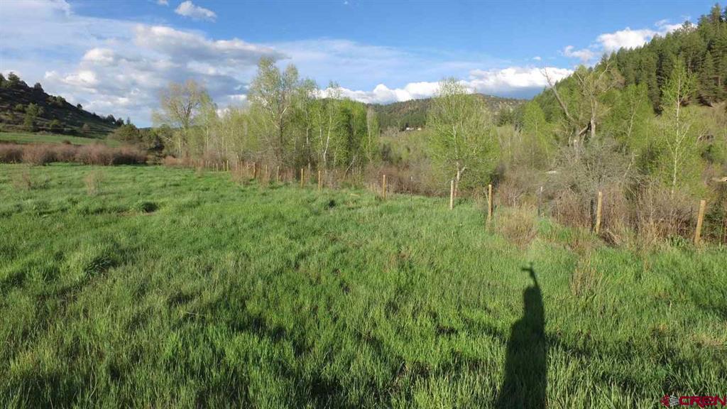 546 County Road 335 Property Photo 9