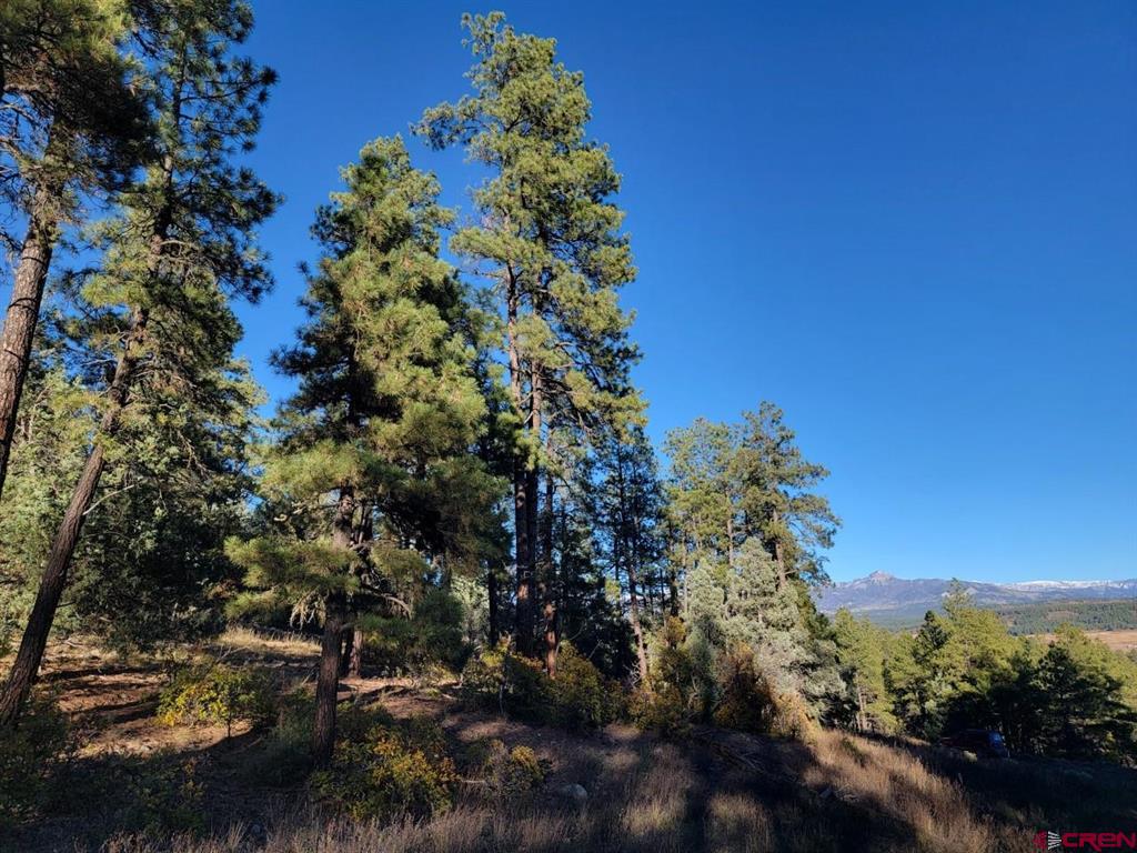 21 Echo Lake Access Easement Property Photo 1