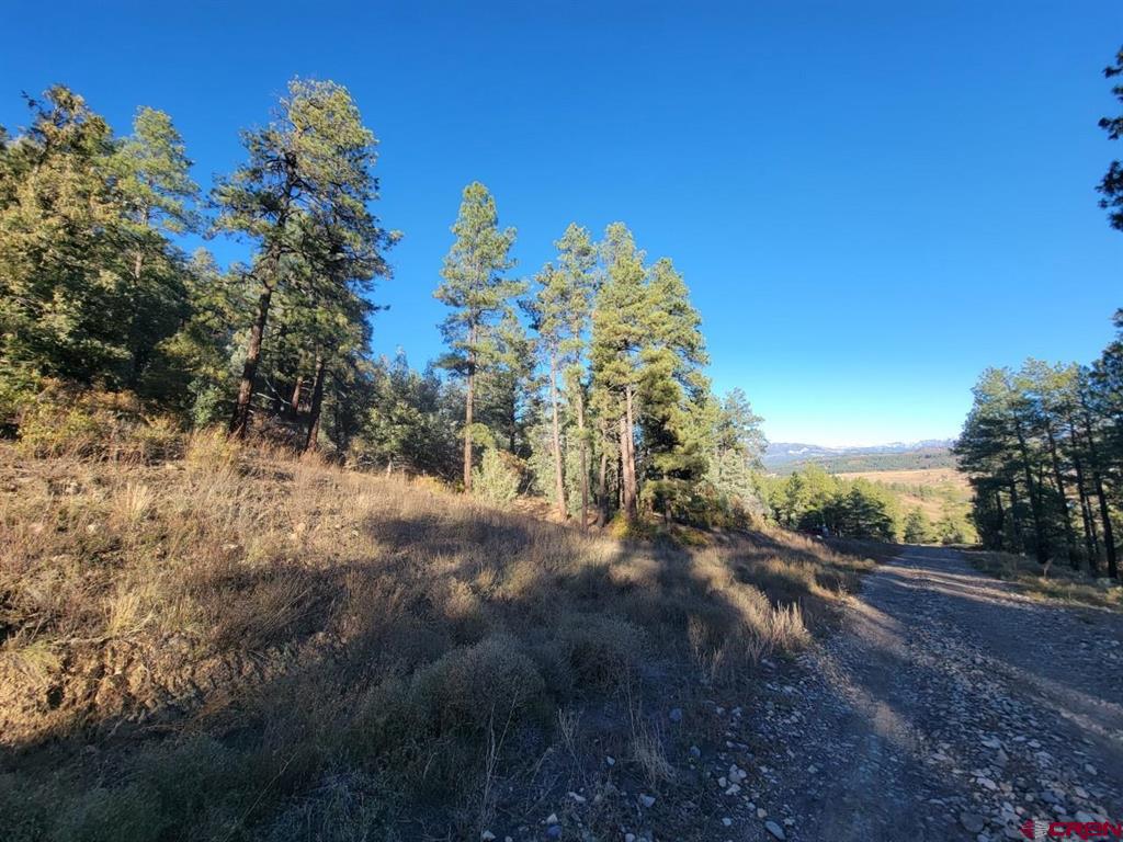 21 Echo Lake Access Easement Property Photo 5