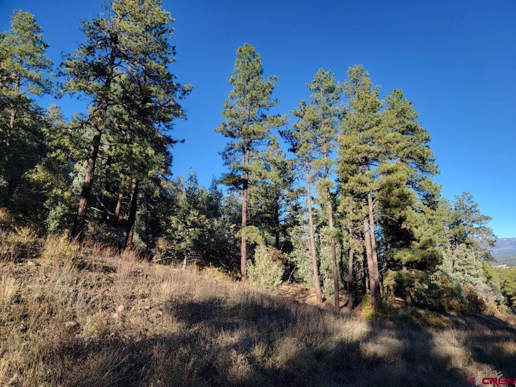 21 Echo Lake Access Easement Property Photo 6
