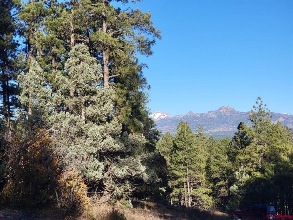 21 Echo Lake Access Easement Property Photo 7