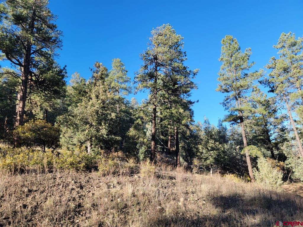 21 Echo Lake Access Easement Property Photo 8
