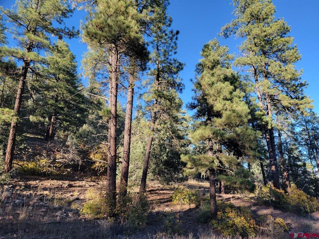 21 Echo Lake Access Easement Property Photo 9