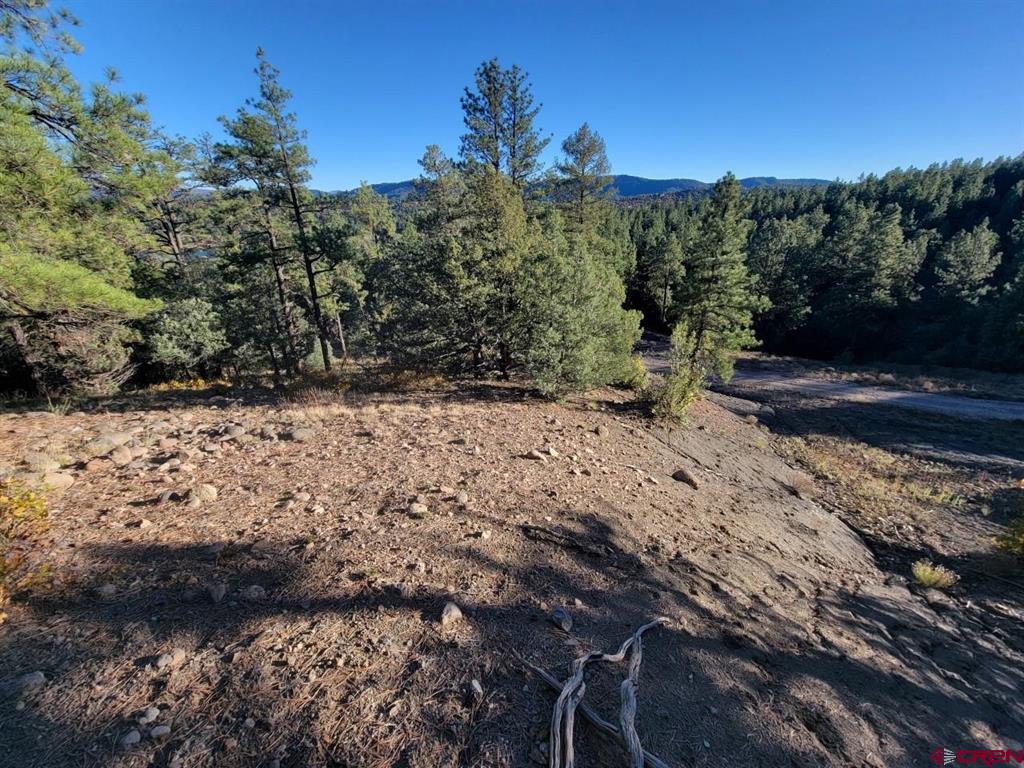 21 Echo Lake Access Easement Property Photo 10