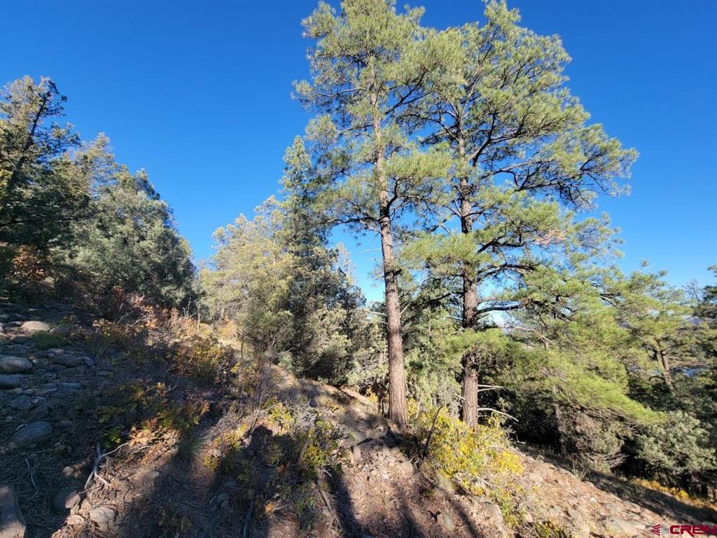 21 Echo Lake Access Easement Property Photo 11