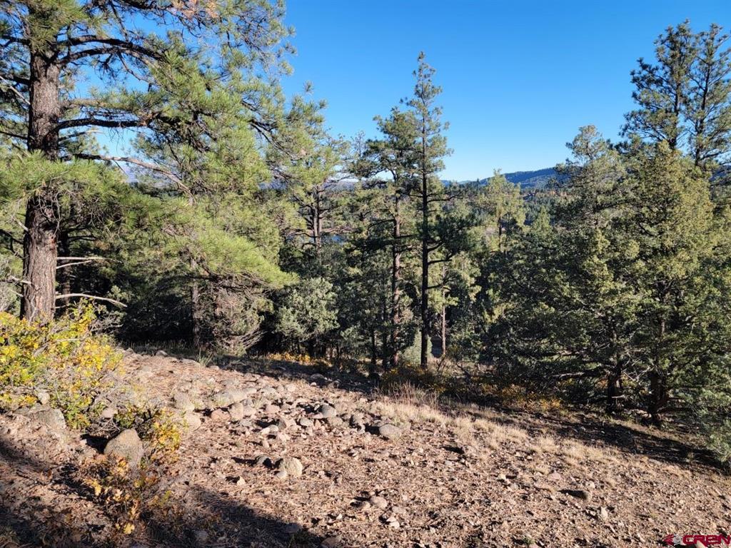 21 Echo Lake Access Easement Property Photo 12