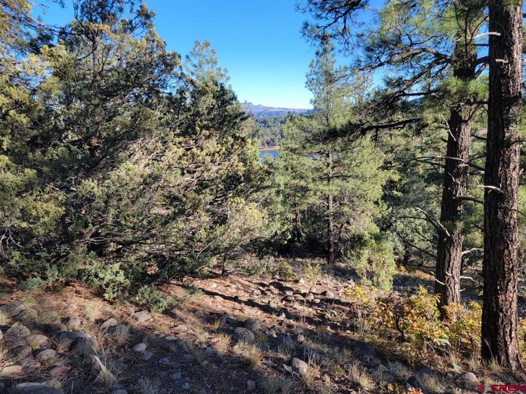 21 Echo Lake Access Easement Property Photo 13
