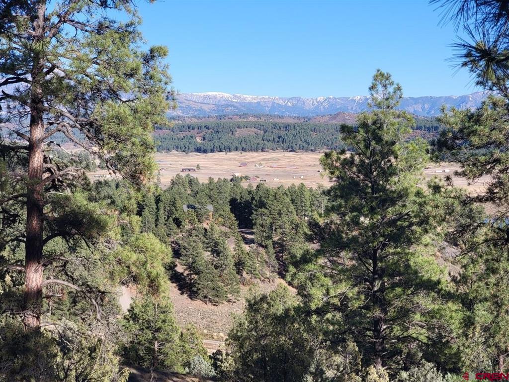 21 Echo Lake Access Easement Property Photo 16