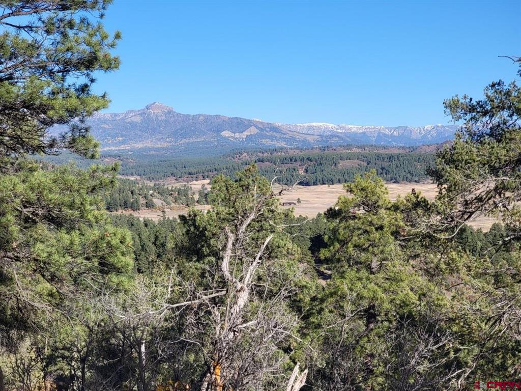 21 Echo Lake Access Easement Property Photo 17