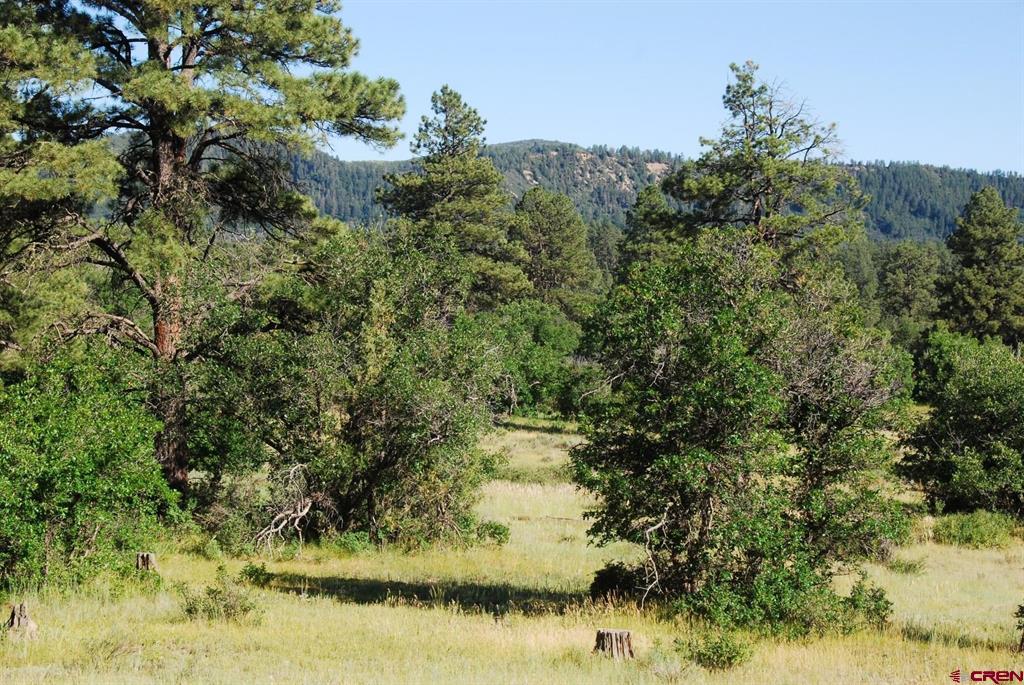 X US Hwy 84 #116 Property Photo 1